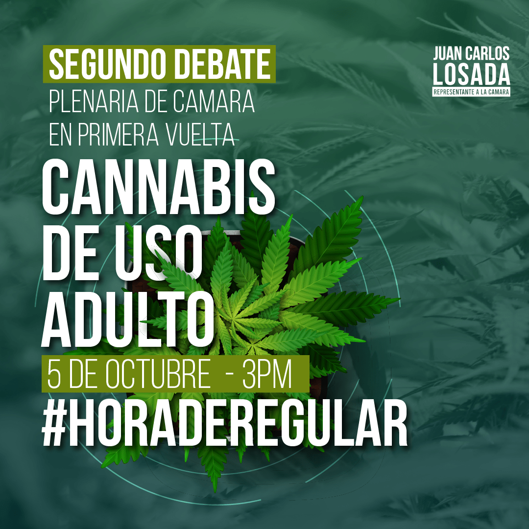 #HoraDeRegular
