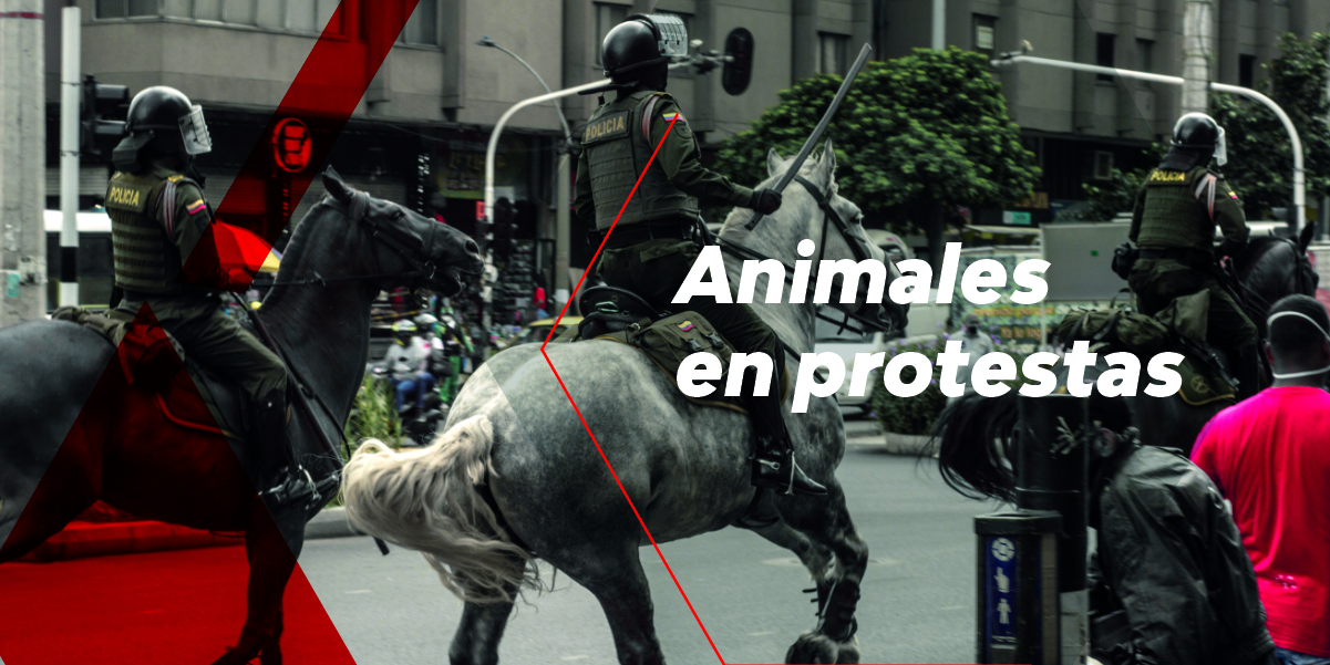 Animales en protestas